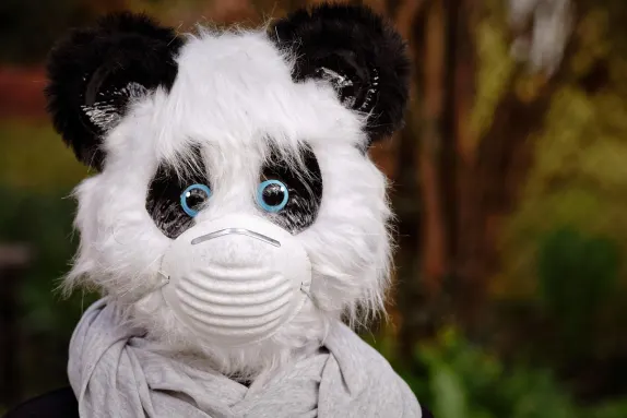 Mars Bet Casino Support